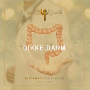 Dikke Darm