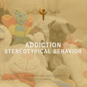 Addiction - Stereotypical Behavior