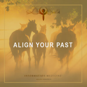 Align your Past