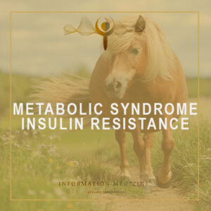 Metabolic syndrome - Insulin resistance
