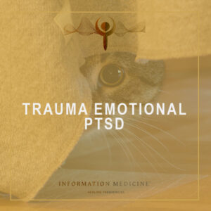 Trauma Emotional - PTSD