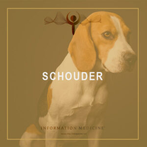 Schouder