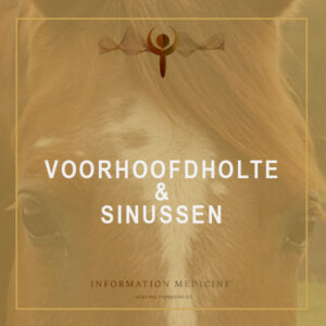 Voorhoofdsholte & Sinussen