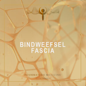 Bindweefsel-Fascia-0-1.jpg