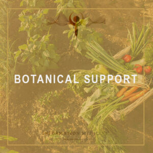 Botanical-support_VE-1.jpg