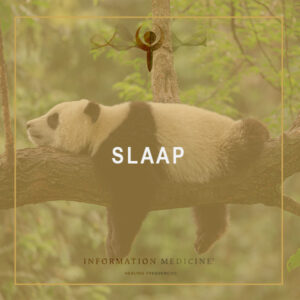 Slaap-1.jpg