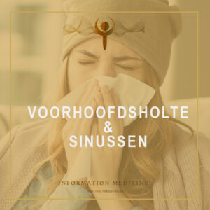 Voorhoofdsholte-en-sinussen-NL-0.jpg