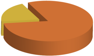 pie-chart_20-80.png