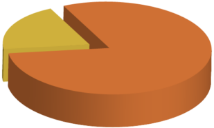 pie-chart_20-80