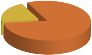 pie-chart_20-80