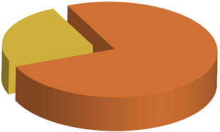 pie-chart_24-76